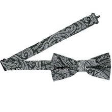 Load image into Gallery viewer, Open band collar on a black paisley bow tie