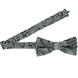 Open band collar on a black paisley bow tie