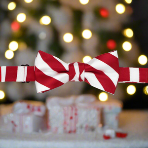 Boys' Red and White Striped Bow Tie