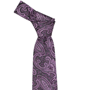 Tied knot on an eggplant paisley tie