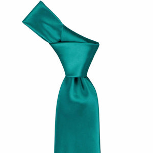 Knot on an oasis solid color tie